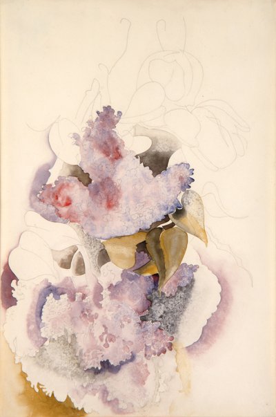 Lilacs by Charles Demuth